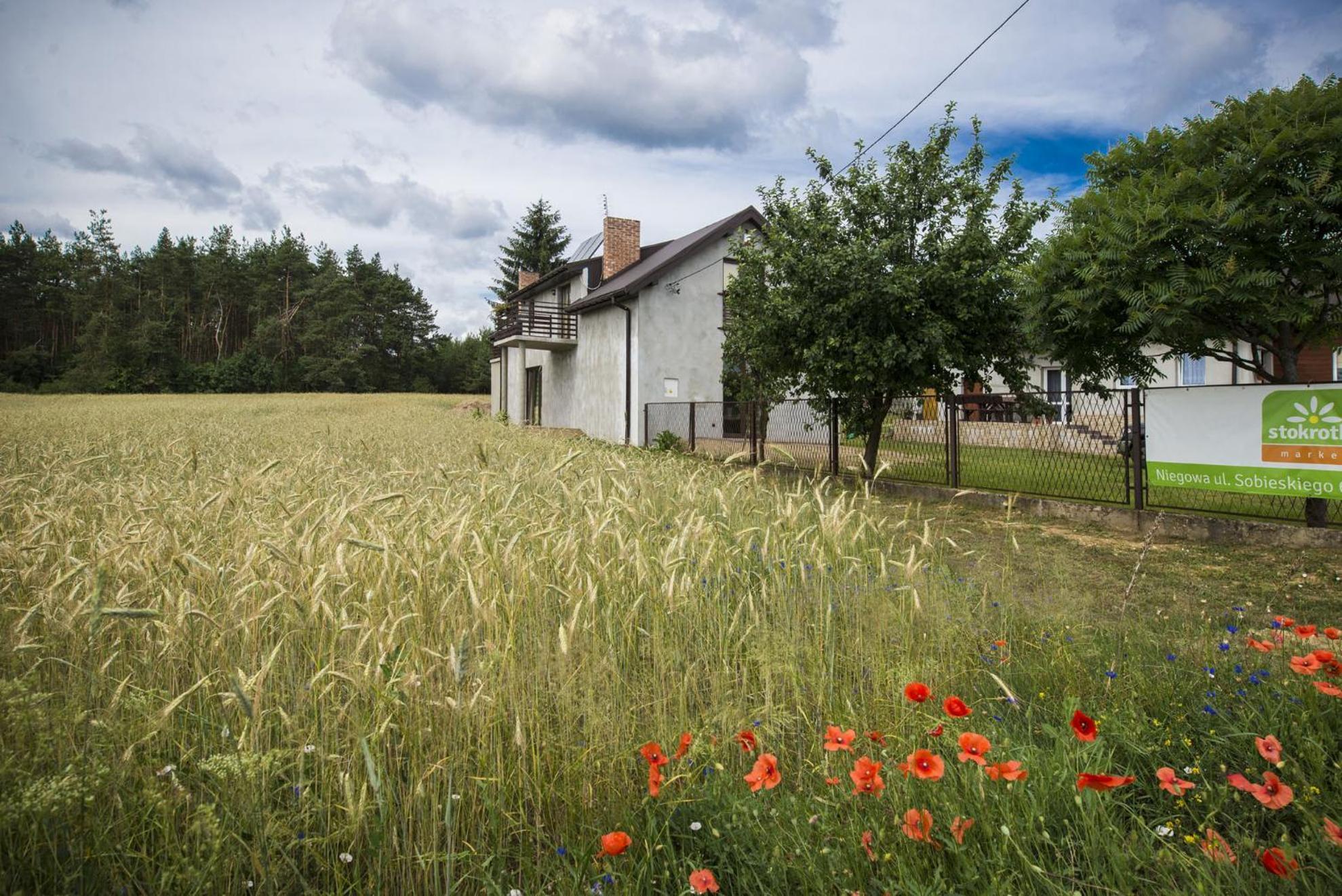 Jurajskie Pokoje Pod Lasem Bobolice  Exterior photo